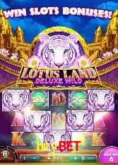 VIP Bronze Benefits